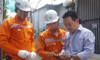 Lợi dụng sáp nhập tỉnh, thành để lừa đảo tiền điện