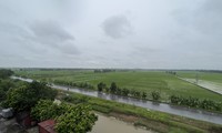 Khu đất nghĩa trang cát táng có tên Bảo Lạc Viên (tại xã Long Châu, huyện Yên Phong, tỉnh Bắc Ninh) hiện chỉ là đất ruộng của người dân