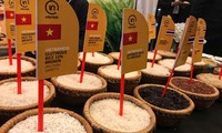 Giá gạo xuất khẩu nhích nhẹ