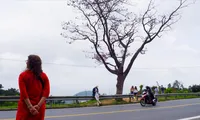 Vương vấn cây thông &apos;cô đơn&apos; trên đèo Hải Vân