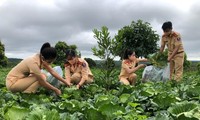 Cán bộ chiến sĩ Phòng CSGT đưa rau củ quả lên chuyến xe 0 đồng