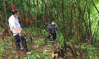 Nơi phát hiện thi thể ở Đắk Nông. Ảnh: VKSND