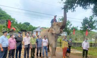 Khăm Phanh tạm biệt gia chủ trước khi lên đường về Trung tâm bảo tồn voi Đắk Lắk