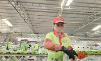 CEO Hạnh Chuối: ‘Giờ tôi ngồi một chỗ cũng có đơn hàng’