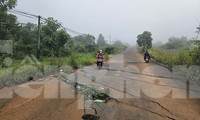 Đường tiền tỷ bỏ hoang gây lãng phí ở phố thị hoa vàng 