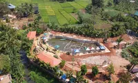 Xây dựng 4 công trình trái phép trên đất trồng lúa ở TP. Buôn Ma Thuột 