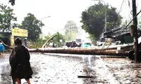 Mưa lớn kèm đá quật ngã cây đè trúng xe cứu thương