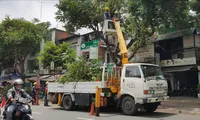 Sở GTVT TPHCM yêu cầu tỉa cây xanh, bảo dưỡng đường tránh giờ cao điểm