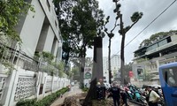 TPHCM khẩn trương ứng phó bão số 6 Trà Mi