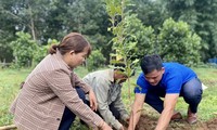 Kon Tum phủ xanh đồi núi trong chiến dịch Mùa hè xanh 2023 
