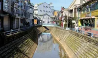 Cụ ông ở Đà Lạt bị nước lớn cuốn trôi mất tích