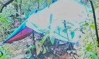 Phát hiện thi thể trong căn chòi giữa rừng sâu Lâm Đồng