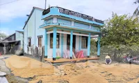 Lý do hàng nghìn tấn lúa Việt Nam ngon nhất thế giới bị &apos;om&apos; trong mưa nắng