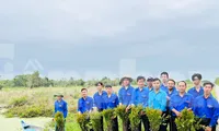 Trồng 200.000 cây tràm giống tại Vườn Quốc gia U Minh hạ