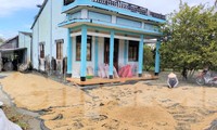 Vụ bất thường đấu thầu mua lúa giống, phân bón: Kiểm điểm trách nhiệm chủ tịch huyện