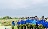 &apos;Sức sống xanh – Vì Cà Mau xanh&apos; là công trình thanh niên tiêu biểu toàn quốc năm 2023