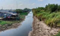 &apos;Thủ phạm&apos; chính gây sụt lún, làm hư hỏng đường sá vùng ngọt ở Cà Mau