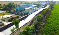 Miền Tây &apos;quay quắt&apos; trong hạn, mặn, sạt lở 