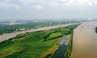 Nóng lại ý tưởng xây dựng công viên bãi giữa sông Hồng