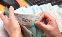 Cựu lãnh đạo Trung tâm giới thiệu việc làm lập khống hồ sơ &apos;rút ruột&apos; ngân sách
