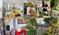Sao Việt trang hoàng nhà cửa rực rỡ đào mai đón Tết