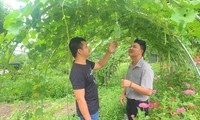 Anh Cương và anh Tân (áo thun) thăm vườn rau củ trong YangbriiFarmstay