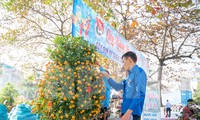 ĐVTN xã Mộ Đạo bán đào, hoa, cây cảnh gây quỹ hỗ trợ người nghèo dịp Tết. Ảnh: N.T
