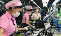 Công nhân sản xuất tại Cty TNHH Yazaki EDS Việt Nam - Bình Dương. Ảnh: H.C