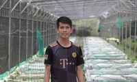 Bỏ đại học &apos;hút&apos; theo cá kiểng 