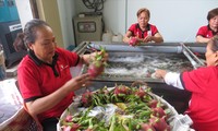 Xuất khẩu nông sản sang Trung Quốc: Chuẩn bị cho &apos;cuộc chơi&apos; mới