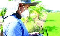 Đến nơi nông dân chăm lúa bằng máy bay 
