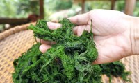 Nhớ quẹ