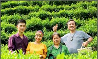 Chàng trai Tày mê làm chè sạch 