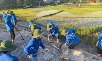 Các sinh viên tình nguyện trên mảnh đất Chi Lăng lịch sử Ảnh: Duy Chiến 