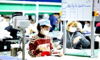 Việt Nam có lợi thế về lực lượng lao động trẻ trong phát triển kinh tế ảnh: Như Ý 