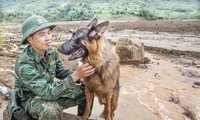 Thiếu tá Nguyễn Văn Hưởng cùng chú chó tên Vát tìm kiếm người mất tích tại thôn Làng Nủ Ảnh: Văn Chương 