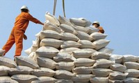 Gạo được mùa, được giá mà không xuất được khiến DN như “ngồi trên đống lửa”