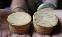 Đôi khuyên tai bằng ngà voi