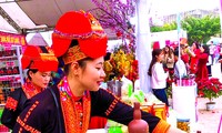 Cô gái tiên phong trồng rừng thông giữ đất, làm kinh tế 