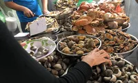 Nhân viên dùng tay không bốc ốc và chế biến cho khách ẢNH: U.P