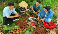 Nhóm bạn trẻ ở Đắk Lắk làm bom hạt giống