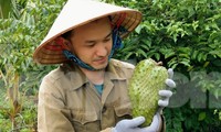 Chàng trai Đắk Lắk là gương thanh niên kinh doanh giỏi, được nhận giải thưởng Lương Định Của