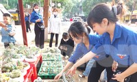 Tuổi trẻ Đắk Lắk tạo không gian xanh, xây dựng tuyến phố không tiền mặt