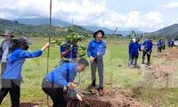 Tuổi trẻ Đắk Lắk bảo vệ môi trường