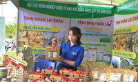 Thanh niên Đắk Lắk khởi nghiệp hướng đến bảo vệ môi trường