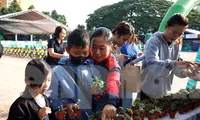Náo nức đổi pin, chai nhựa lấy cây xanh