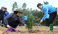 Tỉnh Đoàn Yên Bái triển khai nhiều hoạt động thiết thực khởi động Tháng Thanh niên