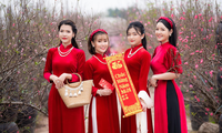 Thiếu nữ rộn ràng tạo dáng bên sắc đào đón Xuân