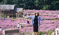 Người trẻ độc thân &apos;vùi mình&apos; vào công việc, hào hứng đi du lịch trong ngày Valentine 