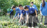 Sôi nổi các hoạt động mở màn của Chiến dịch Mùa hè xanh tại Tuyên Quang